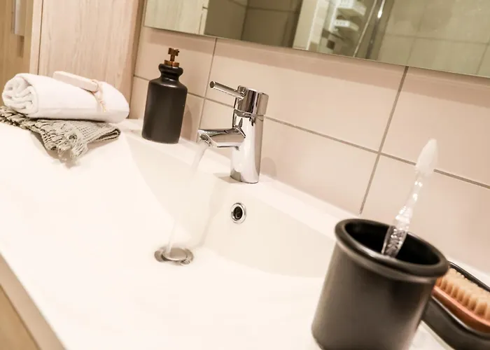 Confort - Artemis - Centre كولمار